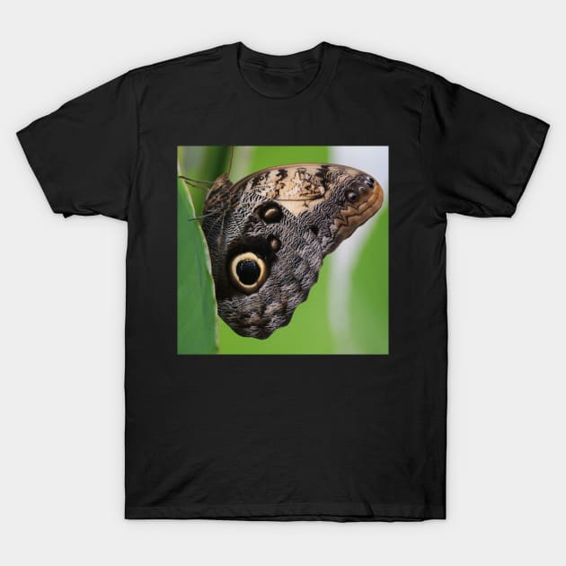 Schmetterling T-Shirt by OVP Art&Design